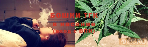 ПСИЛОЦИБИНОВЫЕ ГРИБЫ Елабуга