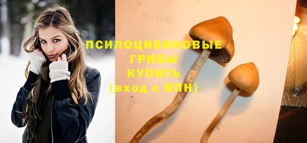 мдма Ельня