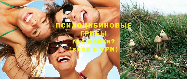 ПСИЛОЦИБИНОВЫЕ ГРИБЫ Елабуга