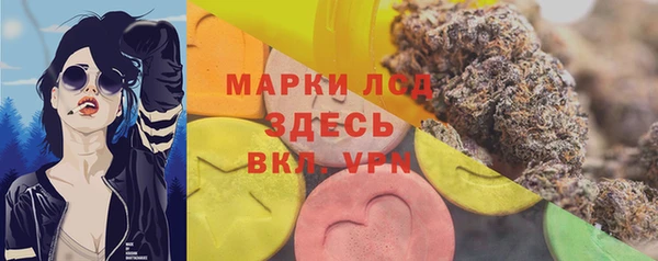 ПСИЛОЦИБИНОВЫЕ ГРИБЫ Елабуга
